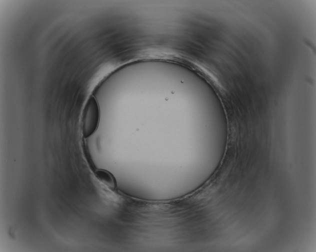 X0000092031471200709061340