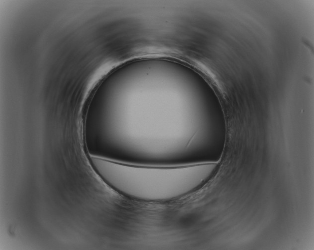 X0000092031472200709061340