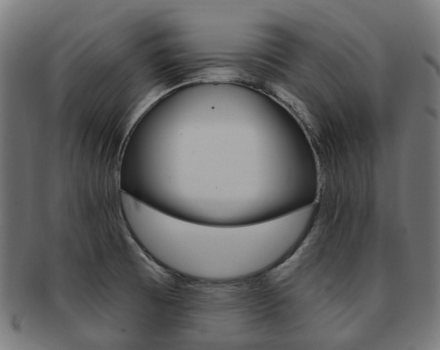 X0000092031473200709061340