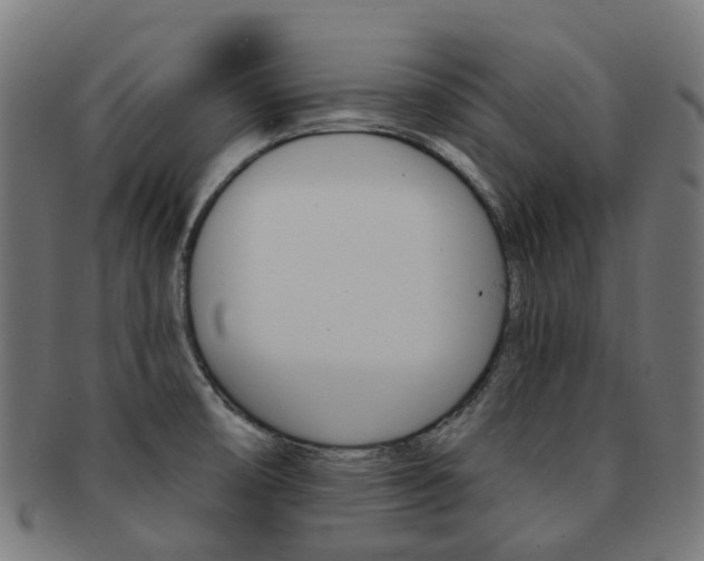 X0000092031474200709061340