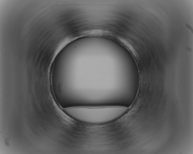 X0000092031475200709061340