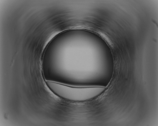 X0000092031476200709061340