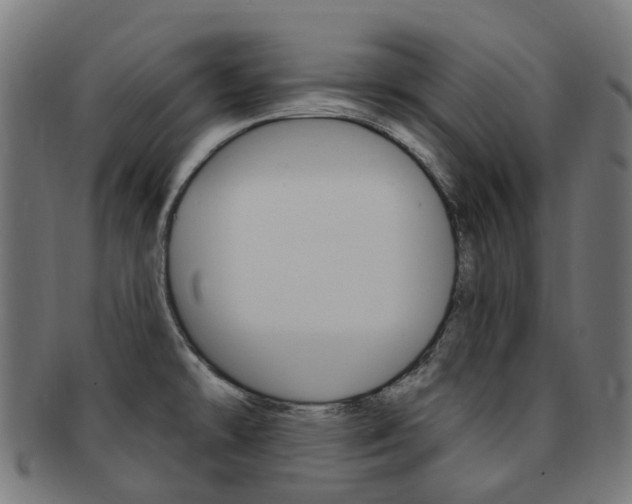 X0000092031478200709061340