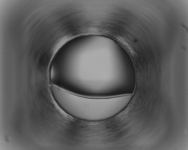 X0000092031479200709061340