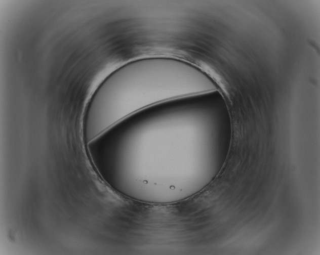 X0000092031480200709061340