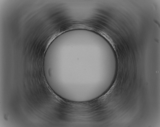 X0000092031481200709061340