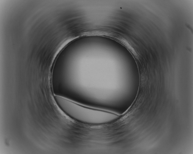 X0000092031484200709061340