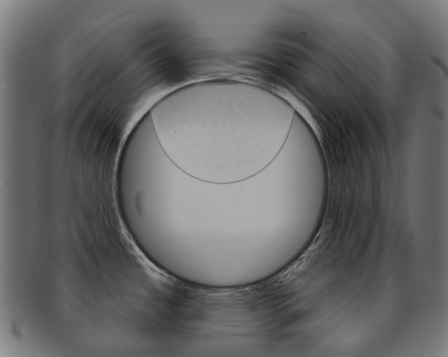 X0000092031485200709061340