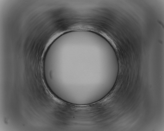 X0000092031486200709061340