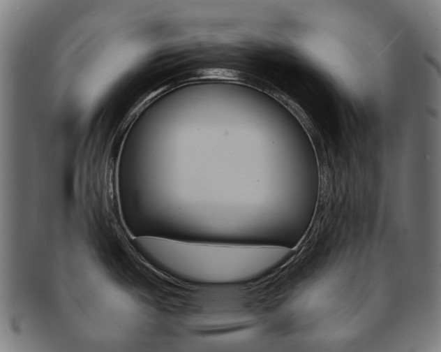 X0000092031487200709061340