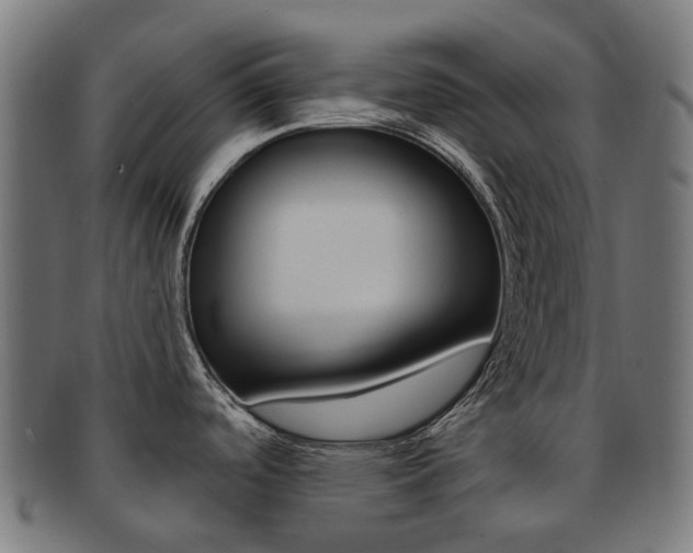 X0000092031488200709061340