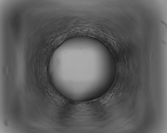 X0000092031489200709061339