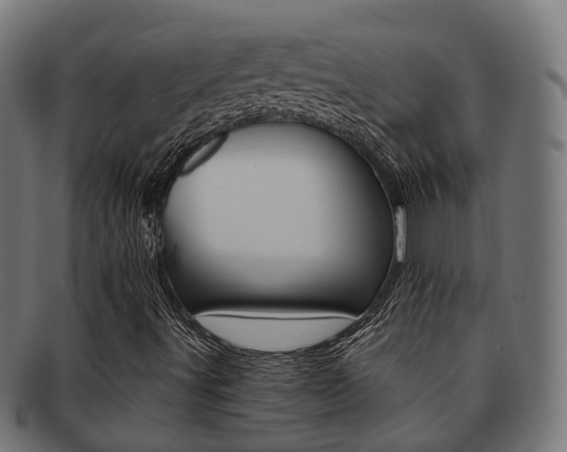 X0000092031491200709061339