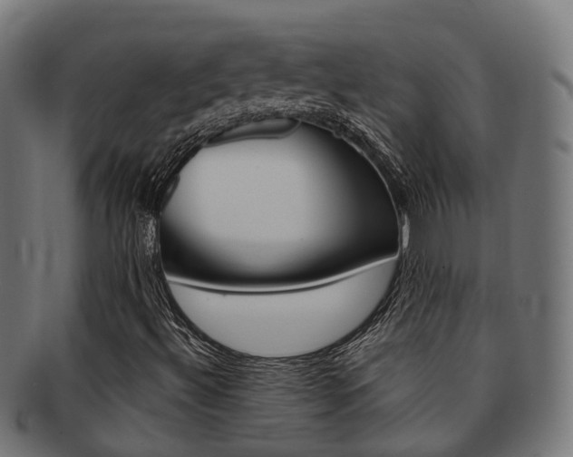 X0000092031492200709061339