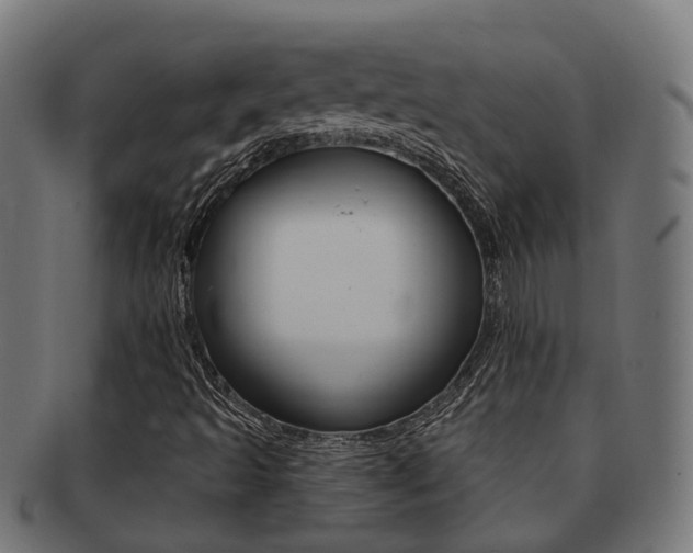 X0000092031493200709061339