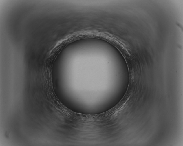 X0000092031494200709061339