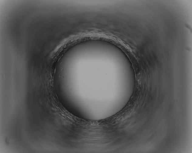 X0000092031495200709061339