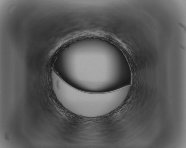 X0000092031496200709061339