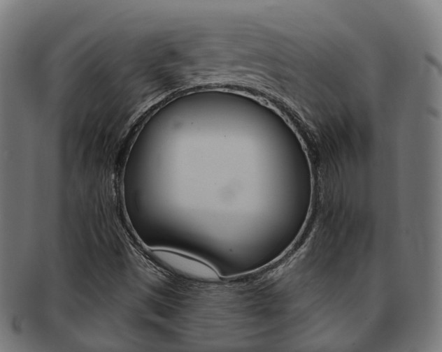 X0000092031497200709061339