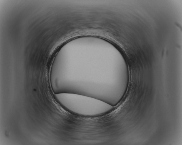 X0000092031498200709061339
