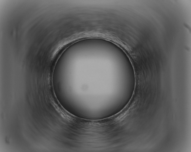 X0000092031499200709061339