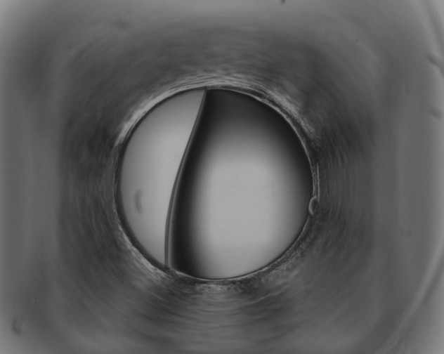 X0000092031500200709061339
