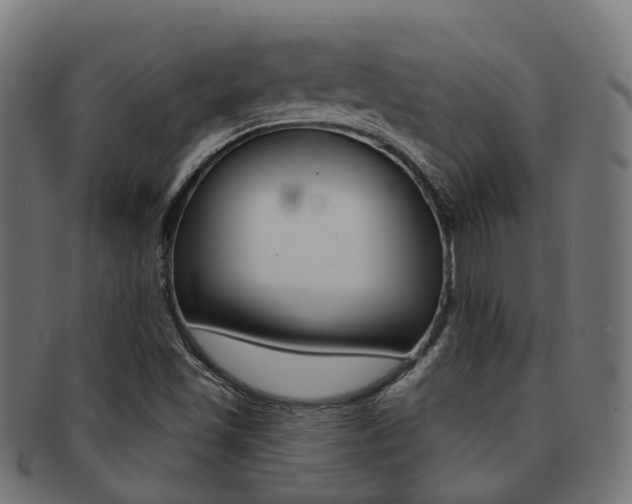 X0000092031501200709061339