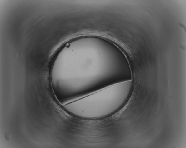 X0000092031502200709061339