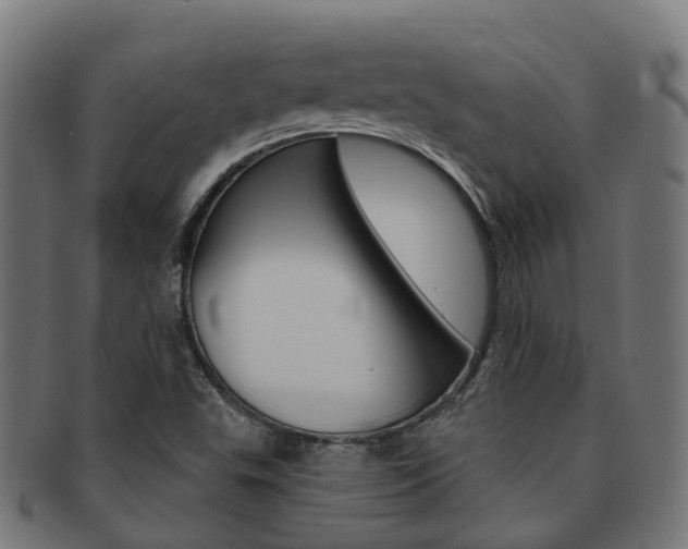 X0000092031503200709061339