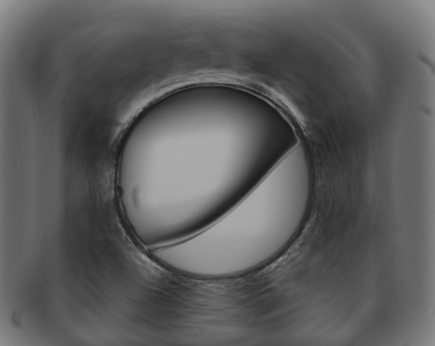 X0000092031504200709061339