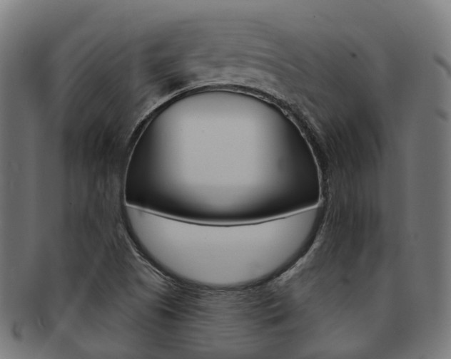 X0000092031505200709061339