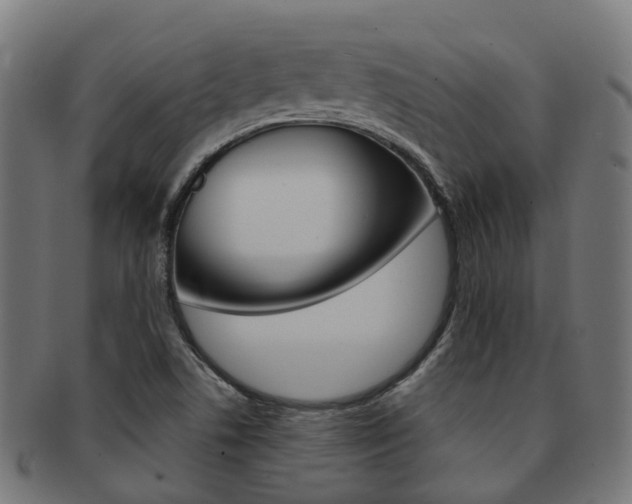 X0000092031506200709061339