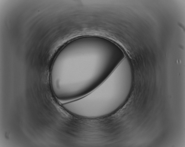 X0000092031507200709061339