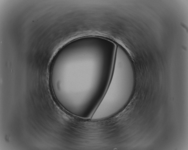 X0000092031508200709061339