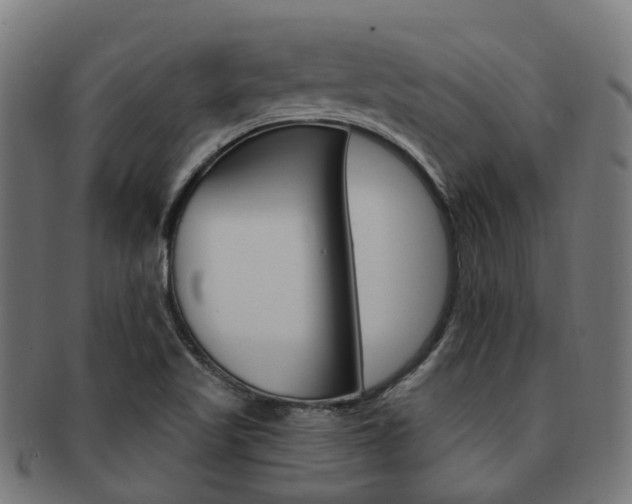 X0000092031509200709061339