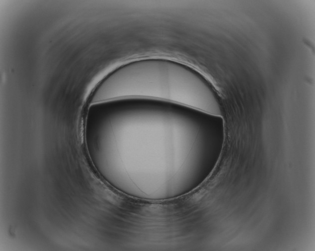 X0000092031510200709061340