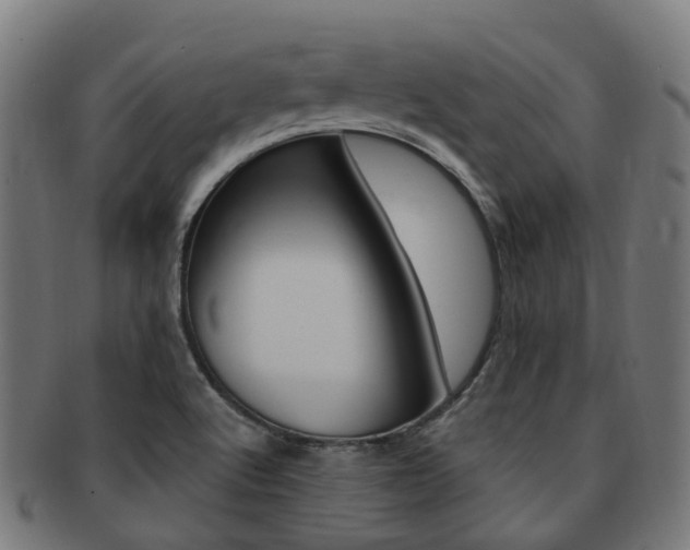 X0000092031512200709061340