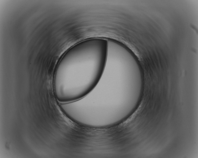 X0000092031513200709061340