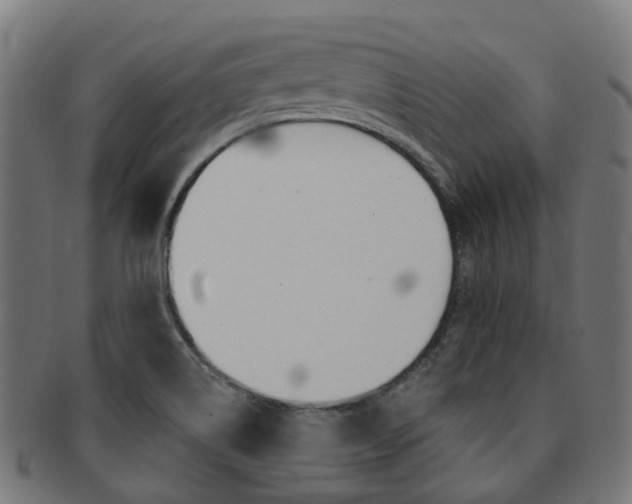 X0000092031514200709061340