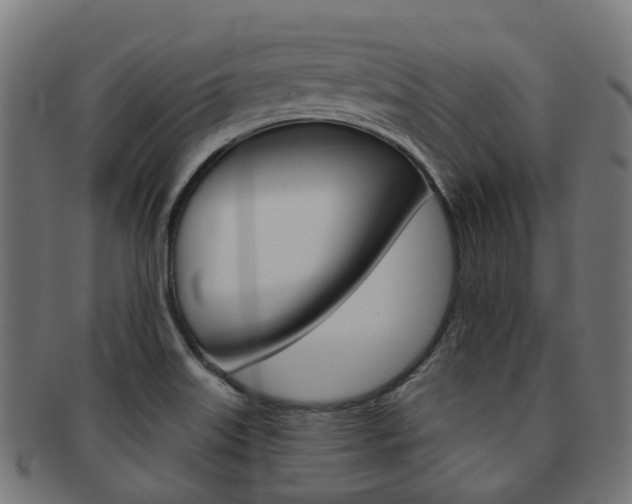 X0000092031515200709061340