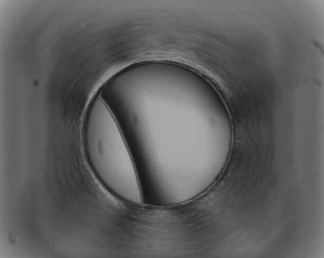 X0000092031517200709061340