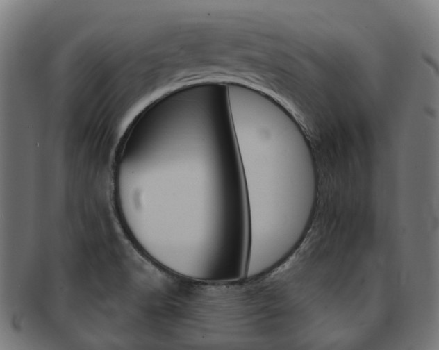 X0000092031518200709061340
