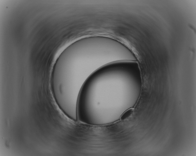 X0000092031520200709061340