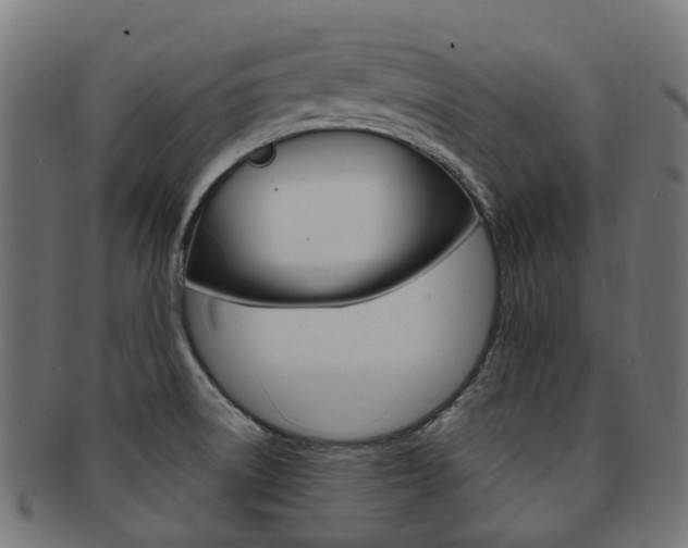 X0000092031522200709061340