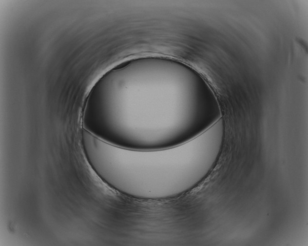 X0000092031524200709061340