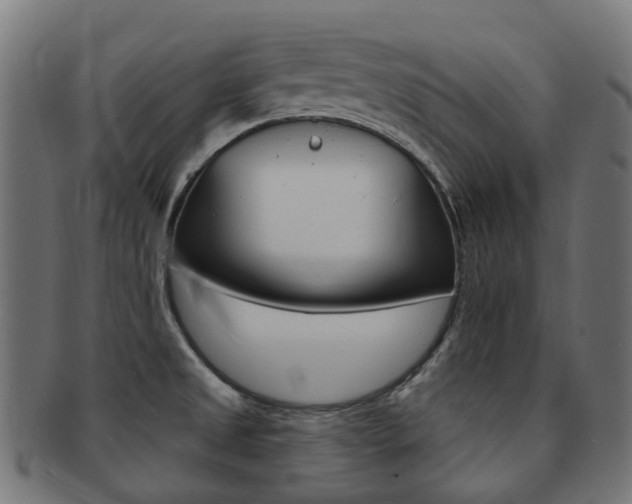 X0000092031525200709061340