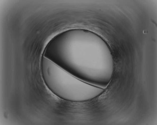 X0000092031527200709061340