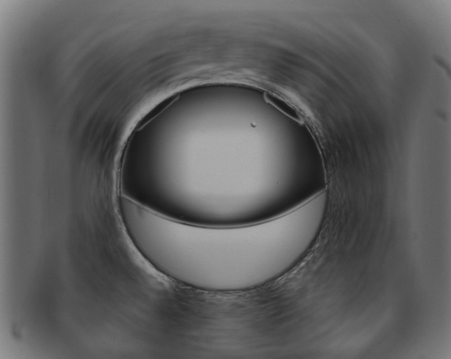 X0000092031528200709061340