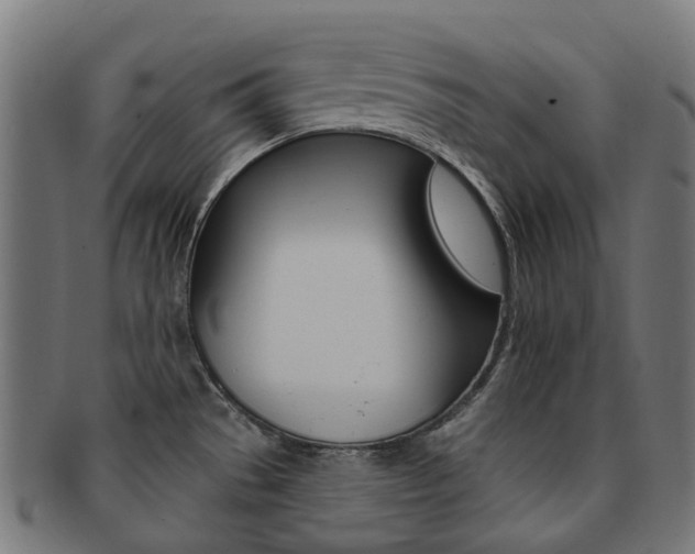 X0000092031529200709061340