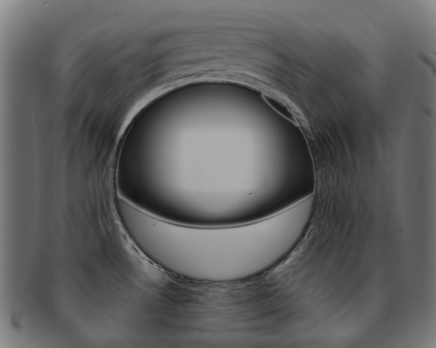 X0000092031530200709061340